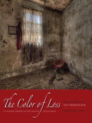 cover image of The Color of Loss